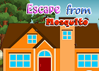 Escape From Mosquito